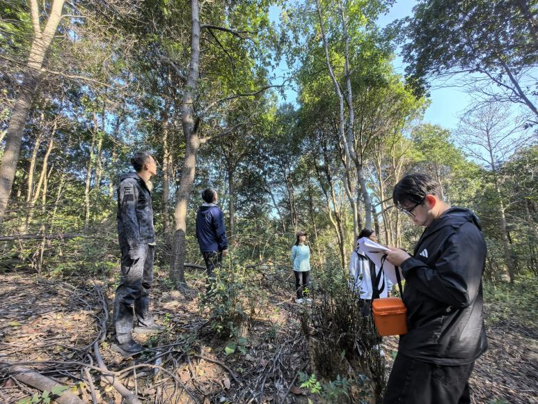 碳汇处大样地.png 碳汇处大样地.png