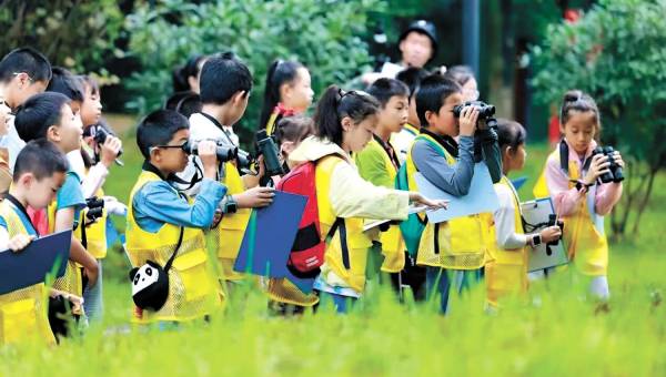 巴蜀山水，飞羽的生命驿站