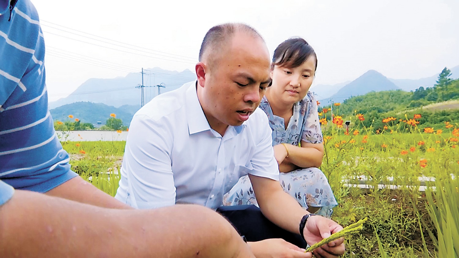 浙江余村绘就现代版“富春山居图”
